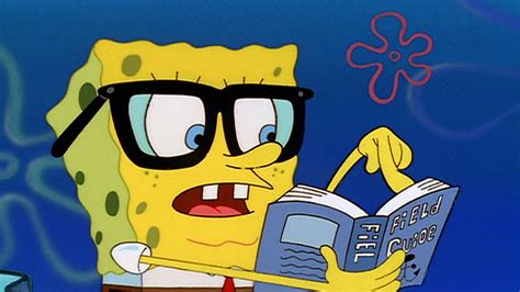 watch spongebob squarepants|SpongeBob SquarePants: All Episodes .